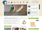 Page Snapshot